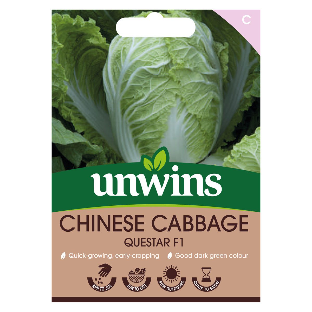 5051618034845 1 Cabbage Questar F1 Chinese Seeds.jpg
